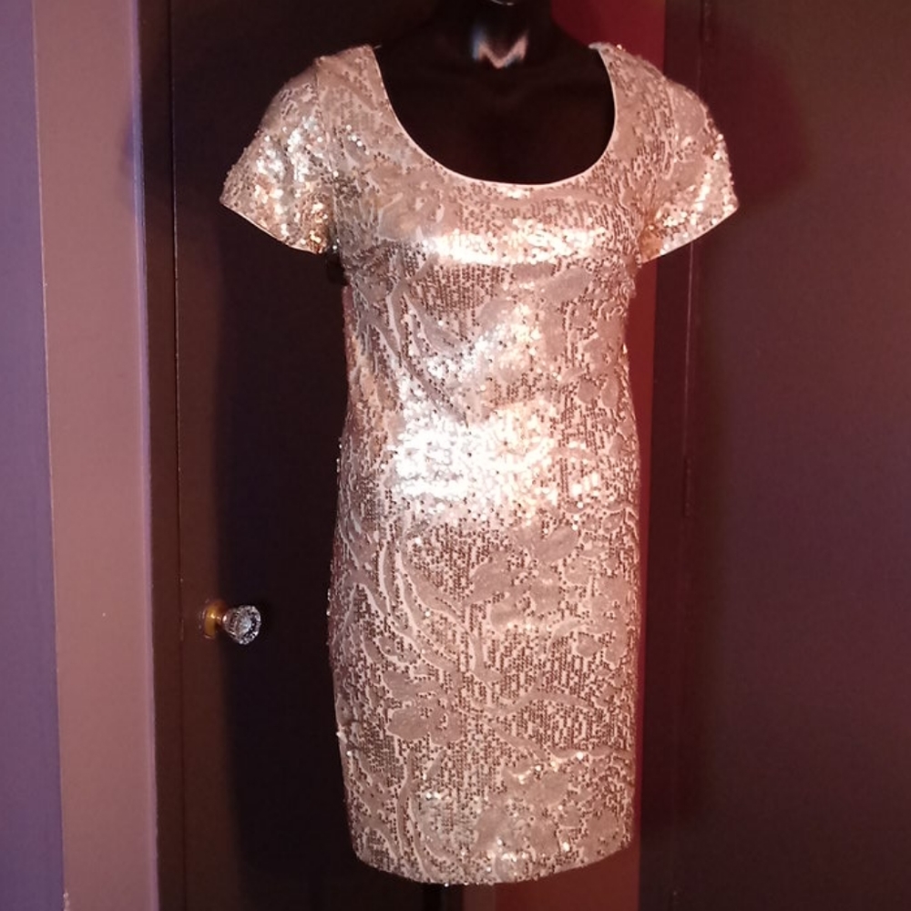 Roz & Ali Sequence Dress